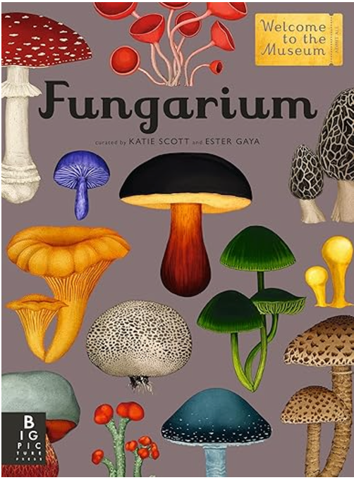 Fungarium, Ester Gaya