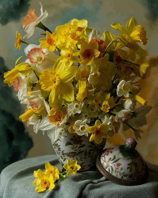 "Daffodils" 11"x14" Framed Fine Art Print